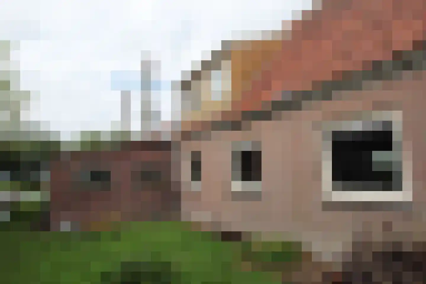 Monnickendammerrijweg 51 Ilpendam thumbnail 6