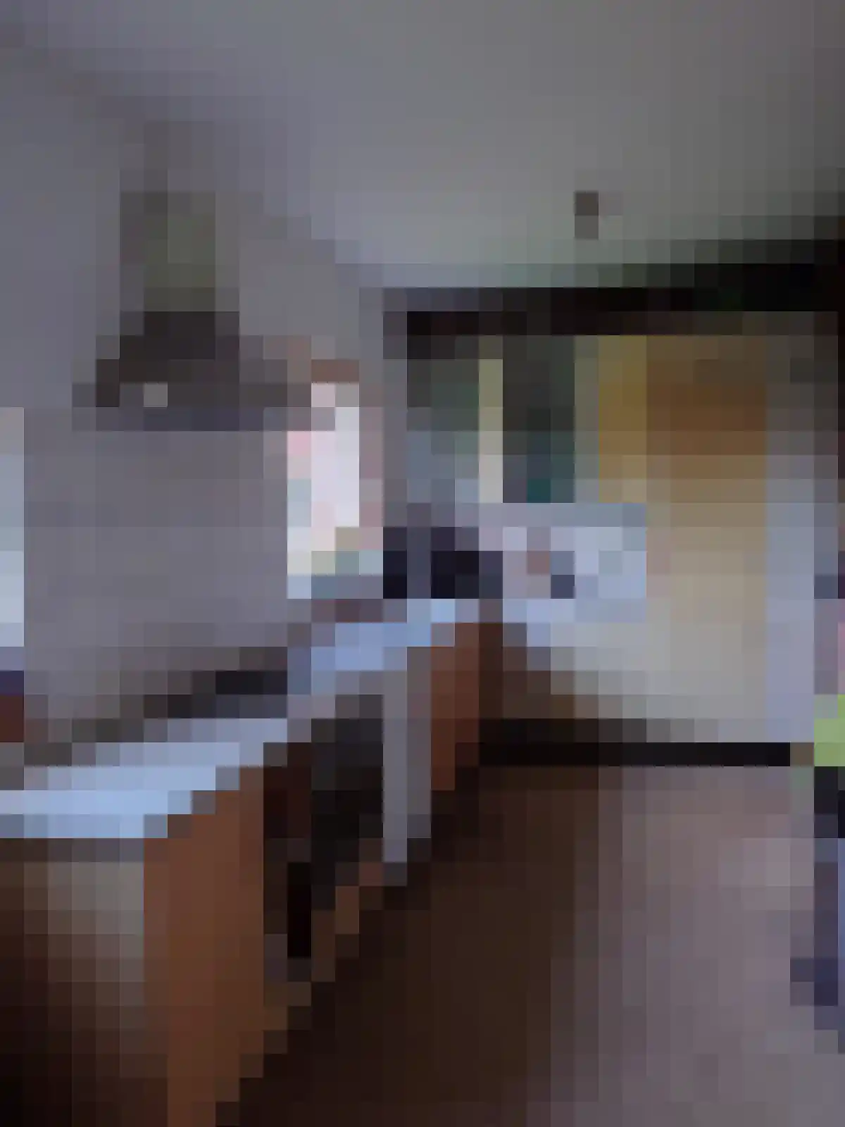 Monnickendammerrijweg 51 Ilpendam thumbnail 7