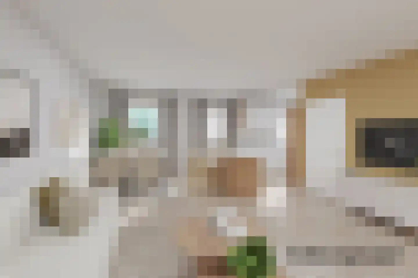 Monnickendammerrijweg 51 Ilpendam thumbnail 9