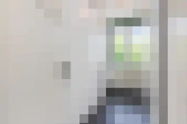 Monnickendamplein 104 Den Haag thumbnail 19
