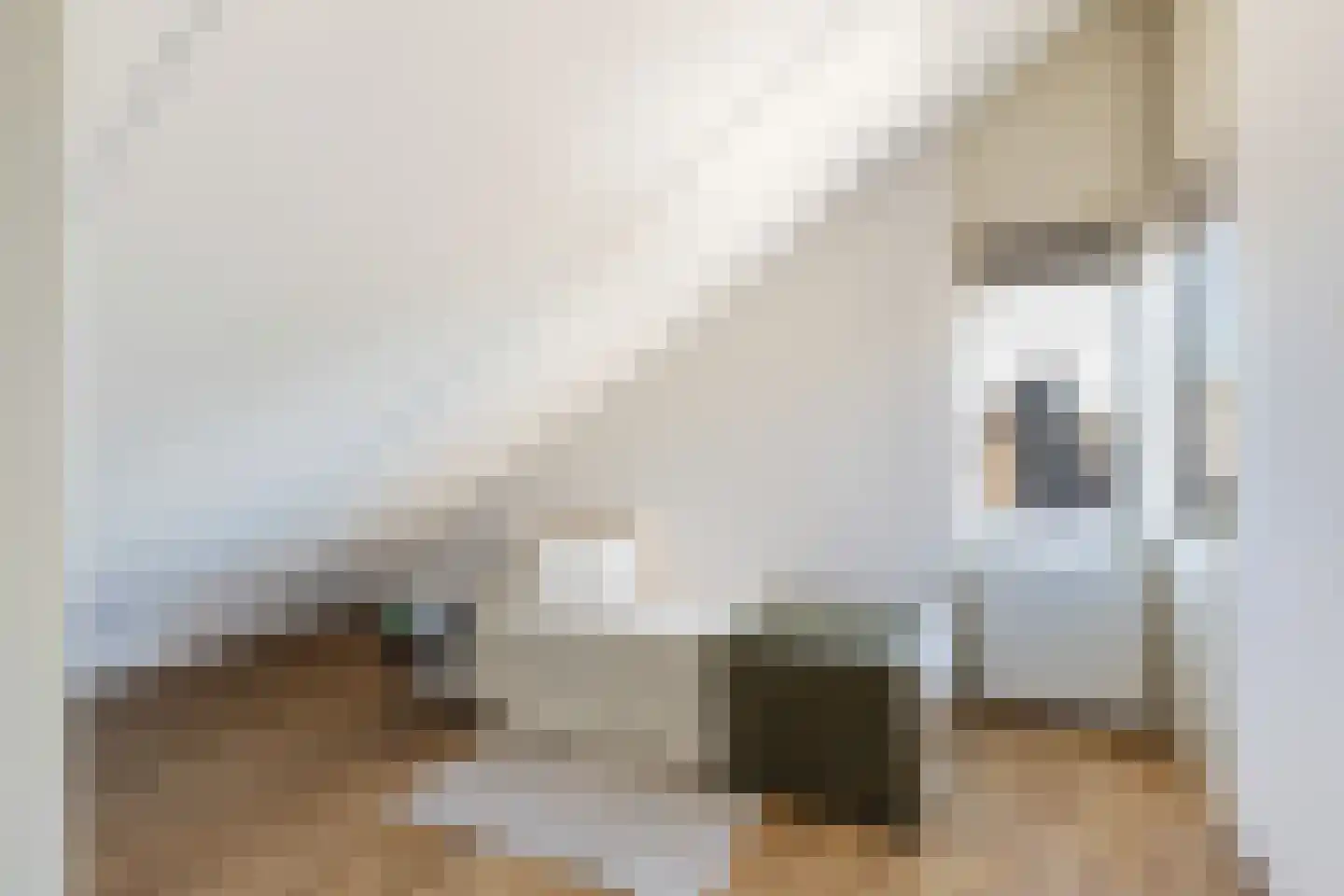 Monnickendamstraat 70 Lelystad thumbnail 43