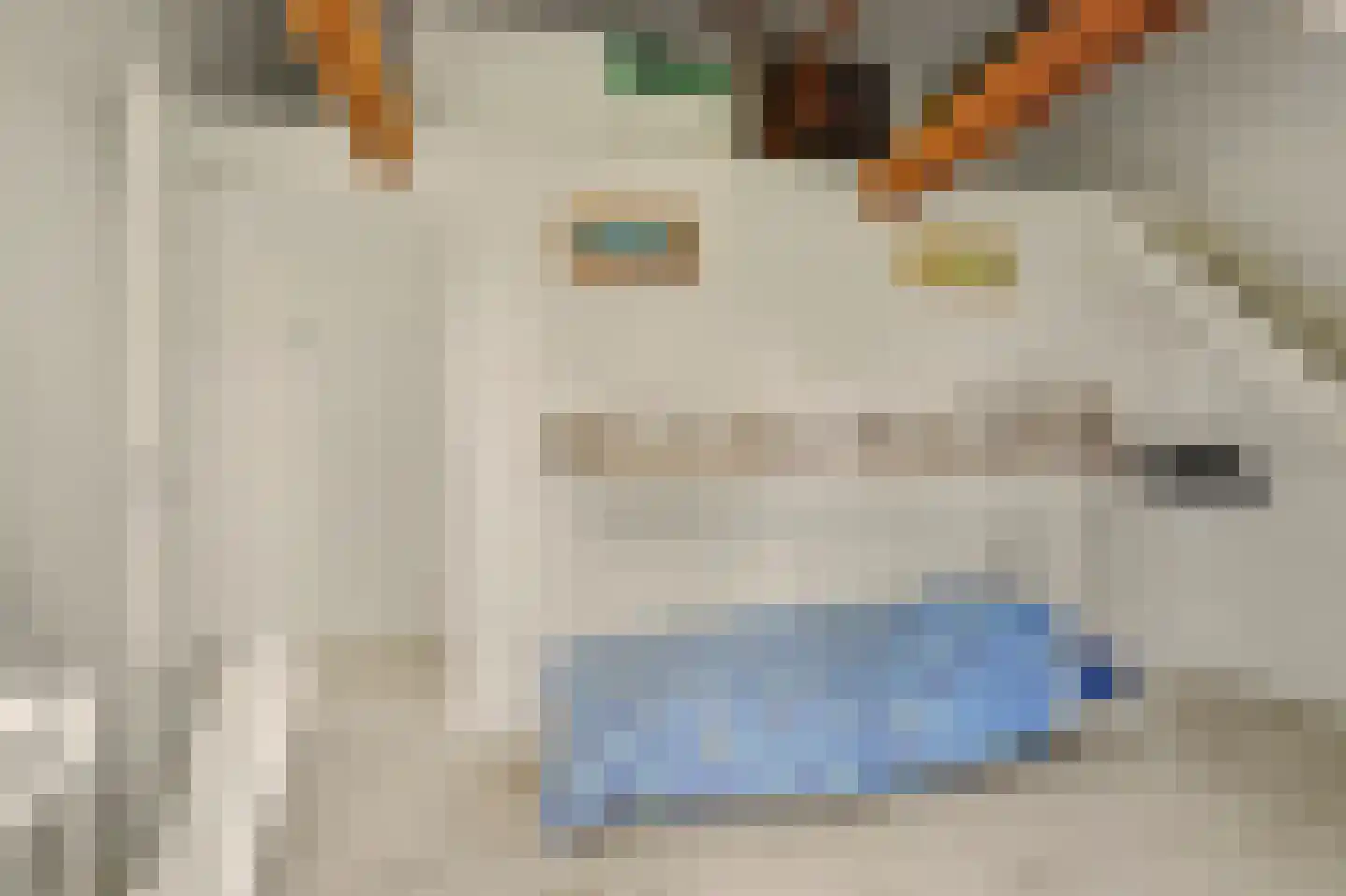 Monnickenmeer 5 Monnickendam thumbnail 21