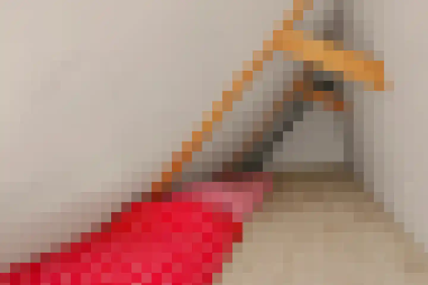 Monnickenmeer 5 Monnickendam thumbnail 31
