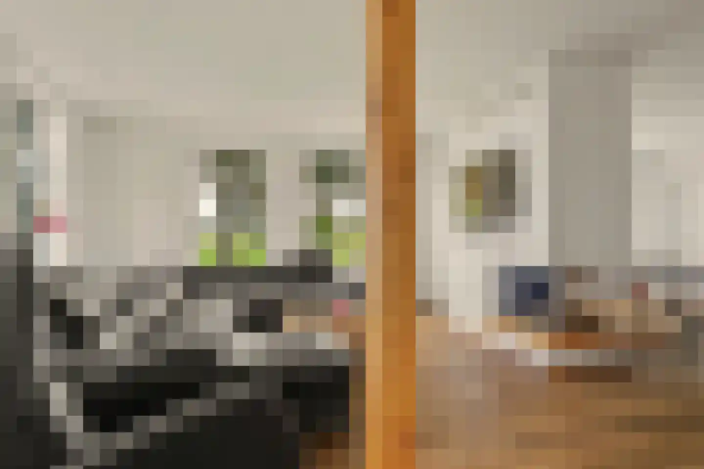 Monnickenmeer 5 Monnickendam thumbnail 4