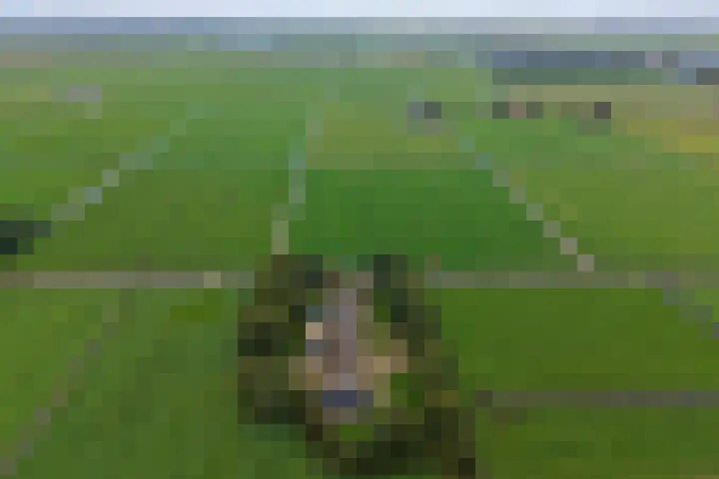 Monnickenmeer 5 Monnickendam thumbnail 41