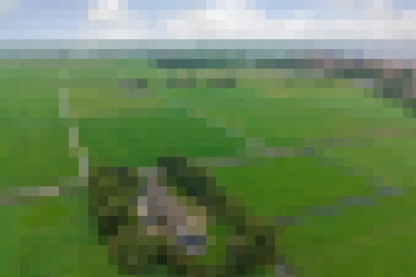 Monnickenmeer 5 Monnickendam thumbnail 42