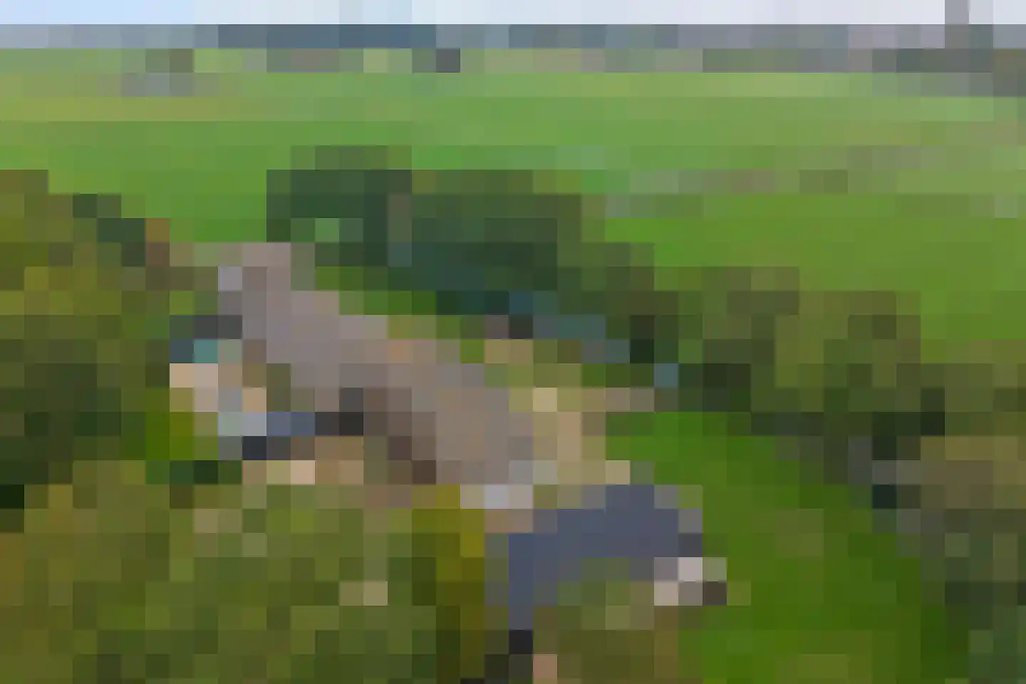 Monnickenmeer 5 Monnickendam thumbnail 44