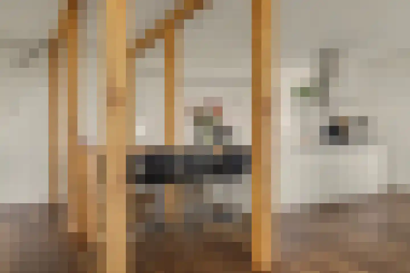Monnickenmeer 5 Monnickendam thumbnail 5