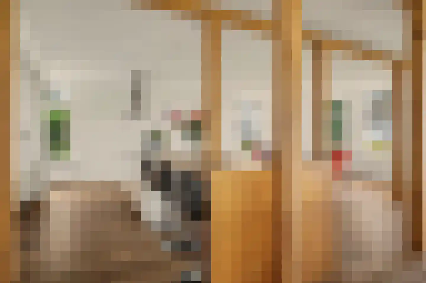 Monnickenmeer 5 Monnickendam thumbnail 9