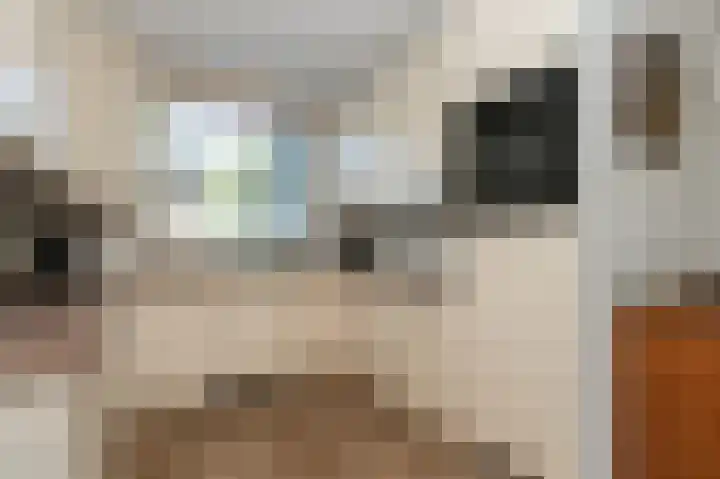 Monnickskamp 294 Huizen thumbnail 10