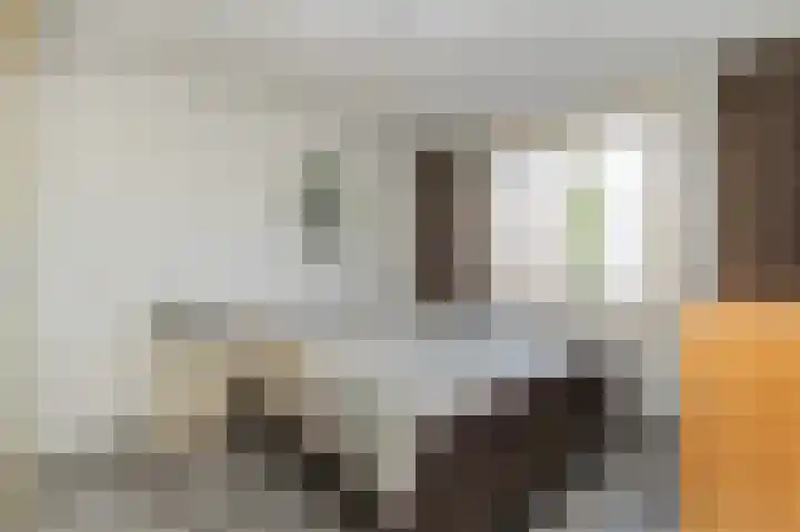 Monnickskamp 294 Huizen thumbnail 11