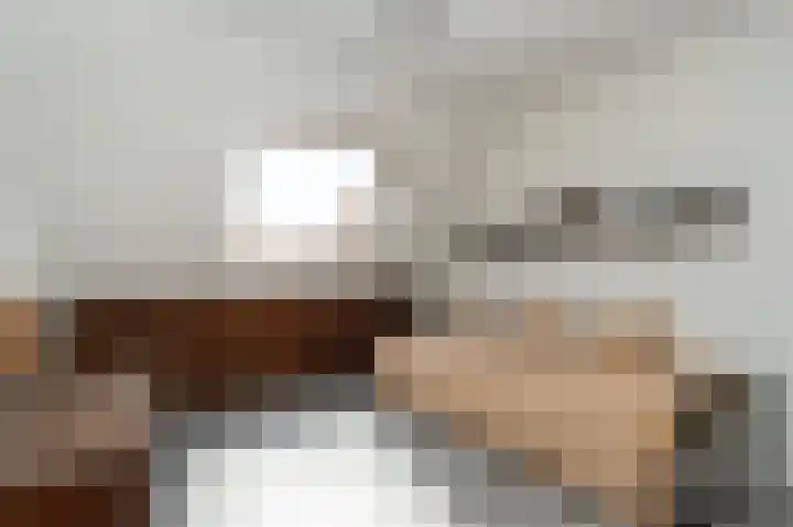 Monnickskamp 294 Huizen thumbnail 12