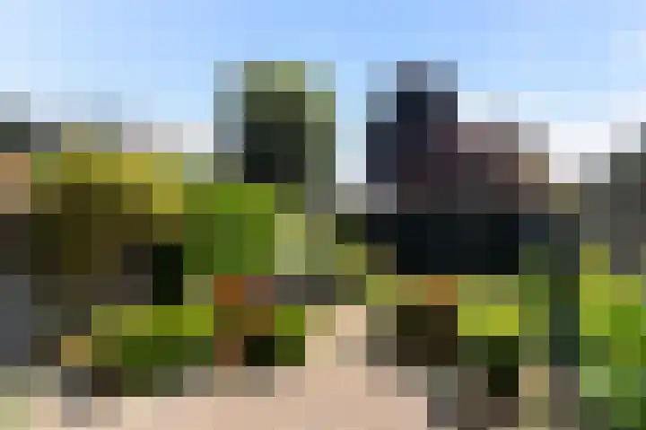 Monnickskamp 294 Huizen thumbnail 17