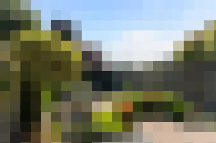 Monnickskamp 294 Huizen thumbnail 18