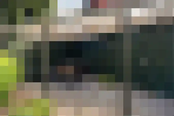 Monnickskamp 294 Huizen thumbnail 19