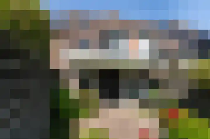 Monnickskamp 294 Huizen thumbnail 20