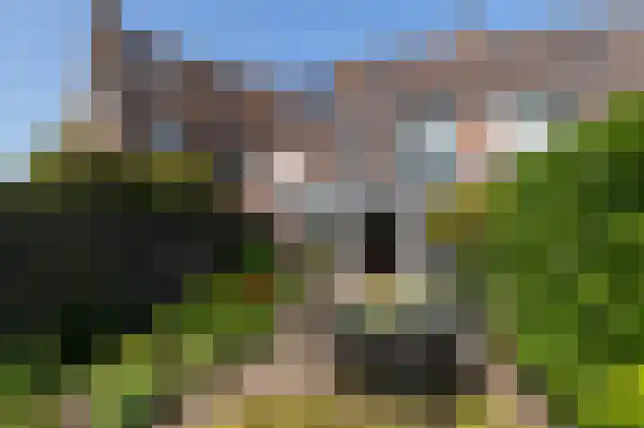 Monnickskamp 294 Huizen thumbnail 21