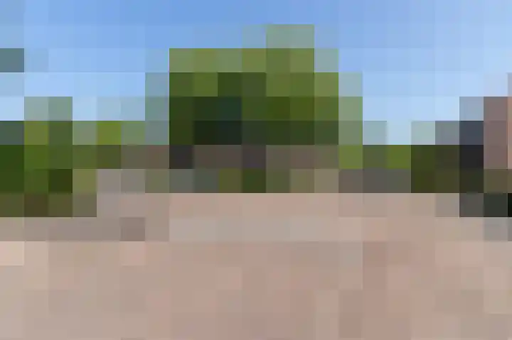 Monnickskamp 294 Huizen thumbnail 22