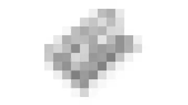 Monnickskamp 294 Huizen thumbnail 26
