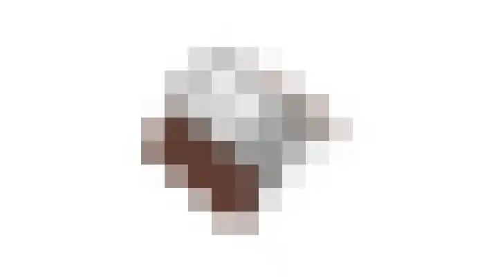 Monnickskamp 294 Huizen thumbnail 28