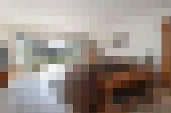Monnickskamp 294 Huizen thumbnail 4