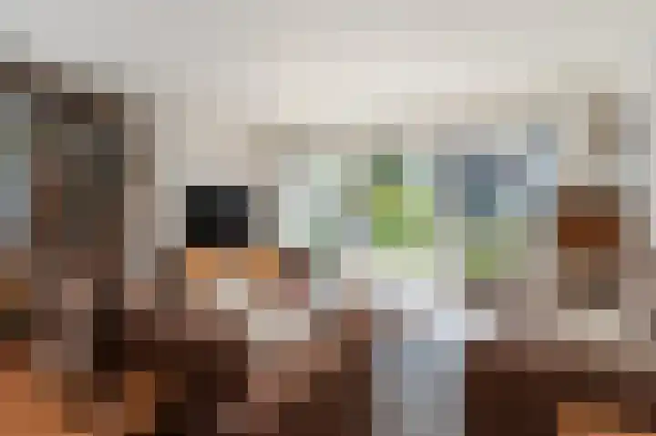 Monnickskamp 294 Huizen thumbnail 5