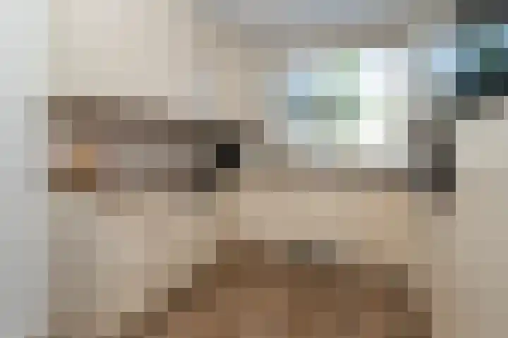 Monnickskamp 294 Huizen thumbnail 9