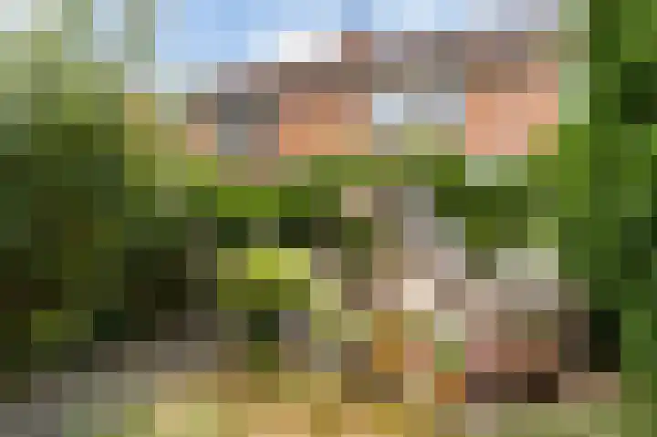 Monnickskamp 358 Huizen thumbnail 19
