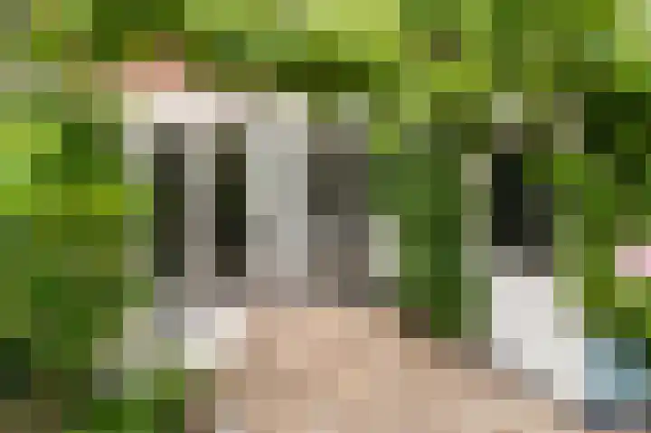Monnickskamp 358 Huizen thumbnail 20