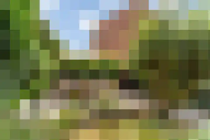 Monnickskamp 358 Huizen thumbnail 21
