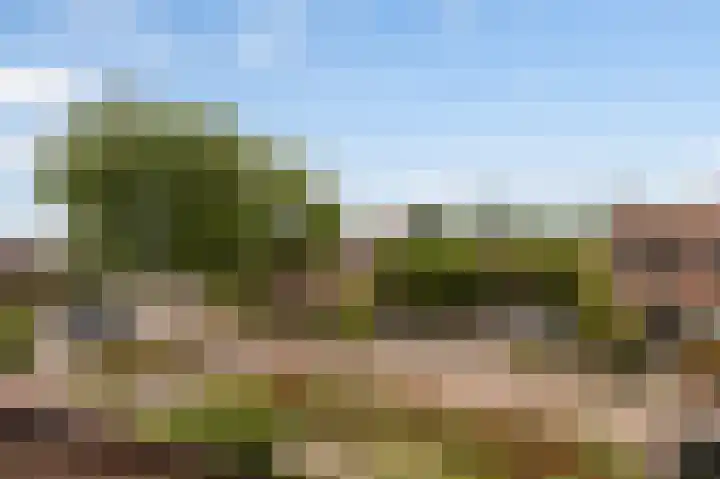 Monnickskamp 358 Huizen thumbnail 23