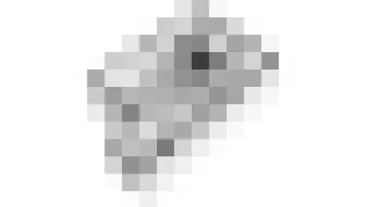 Monnickskamp 358 Huizen thumbnail 26