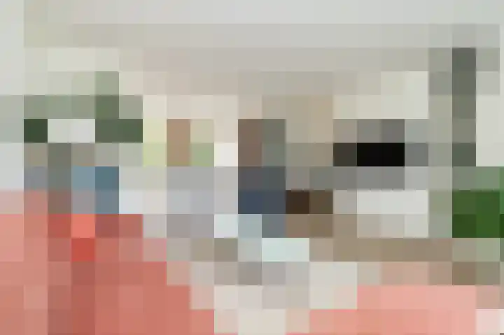 Monnickskamp 358 Huizen thumbnail 6