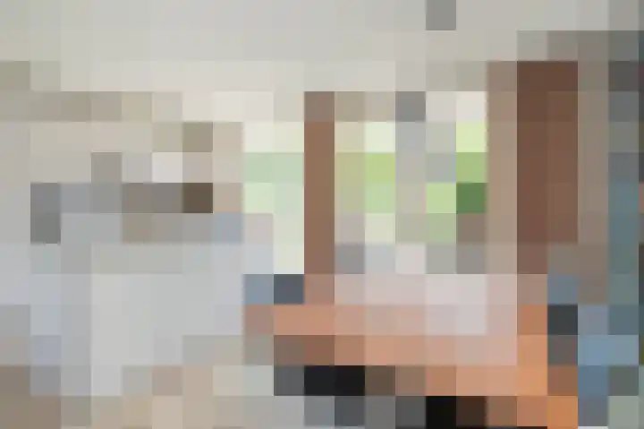 Monnickskamp 358 Huizen thumbnail 8