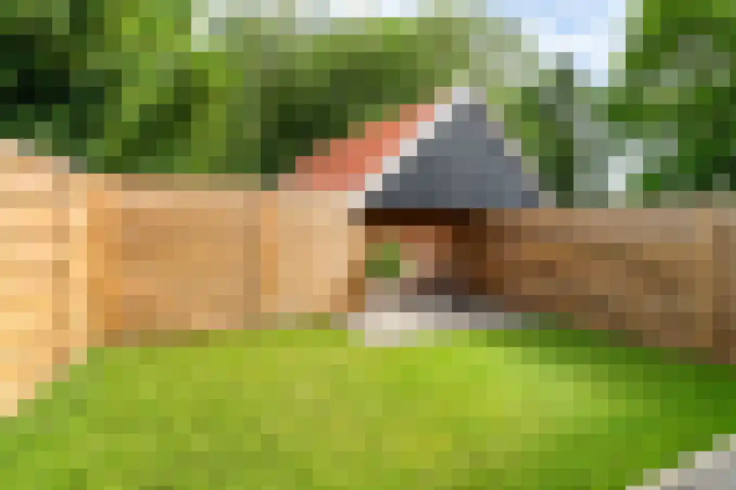 Monnikebildtdijk 43 Oudebildtzijl thumbnail 26