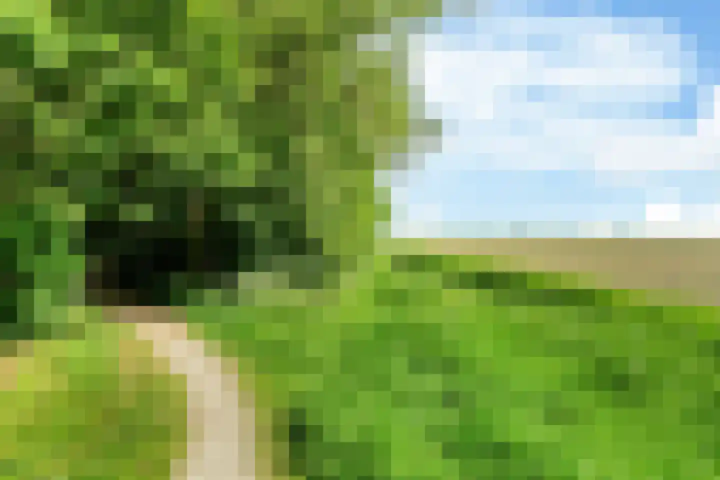 Monnikebildtdijk 43 Oudebildtzijl thumbnail 29