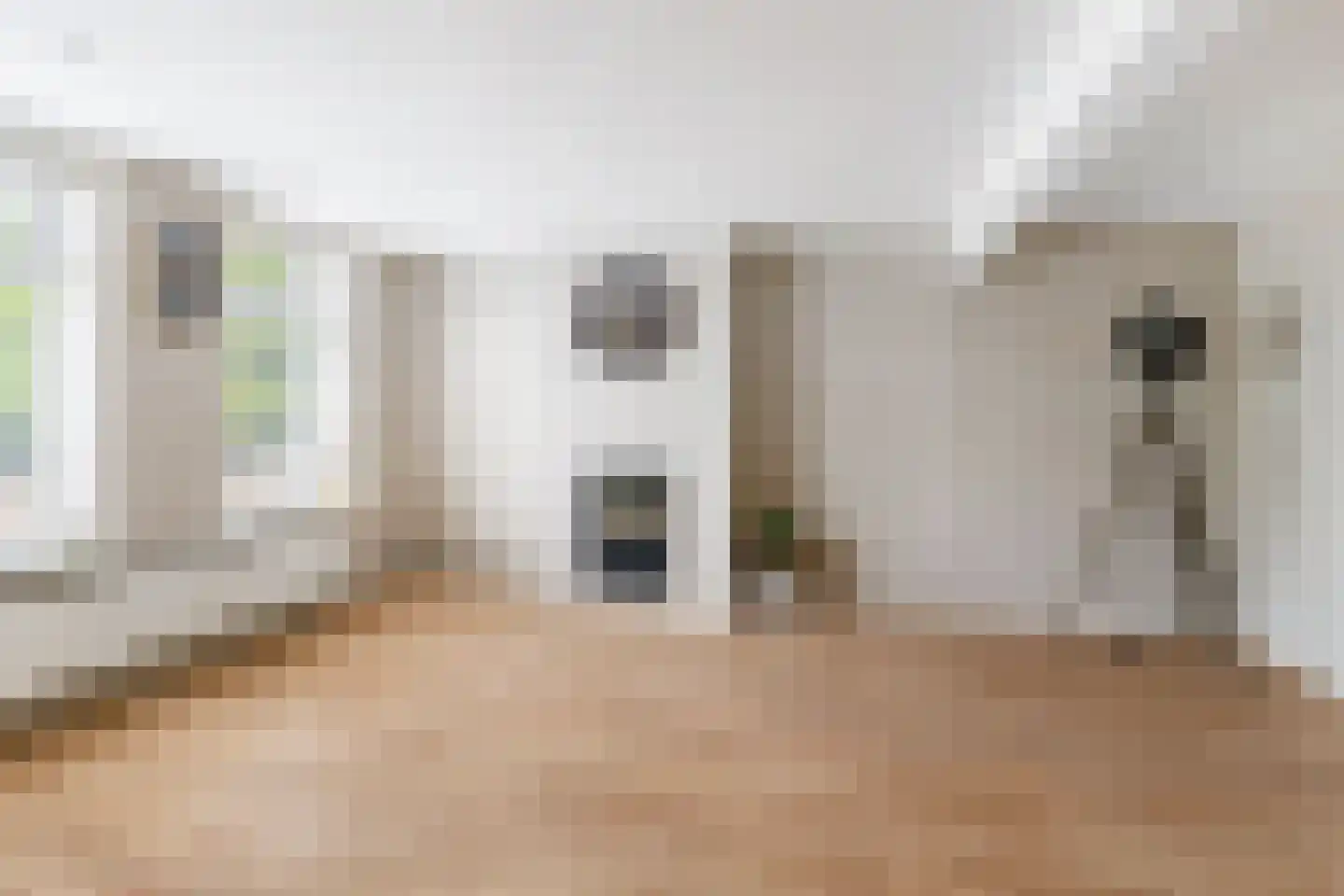 Monnikebildtdijk 43 Oudebildtzijl thumbnail 7