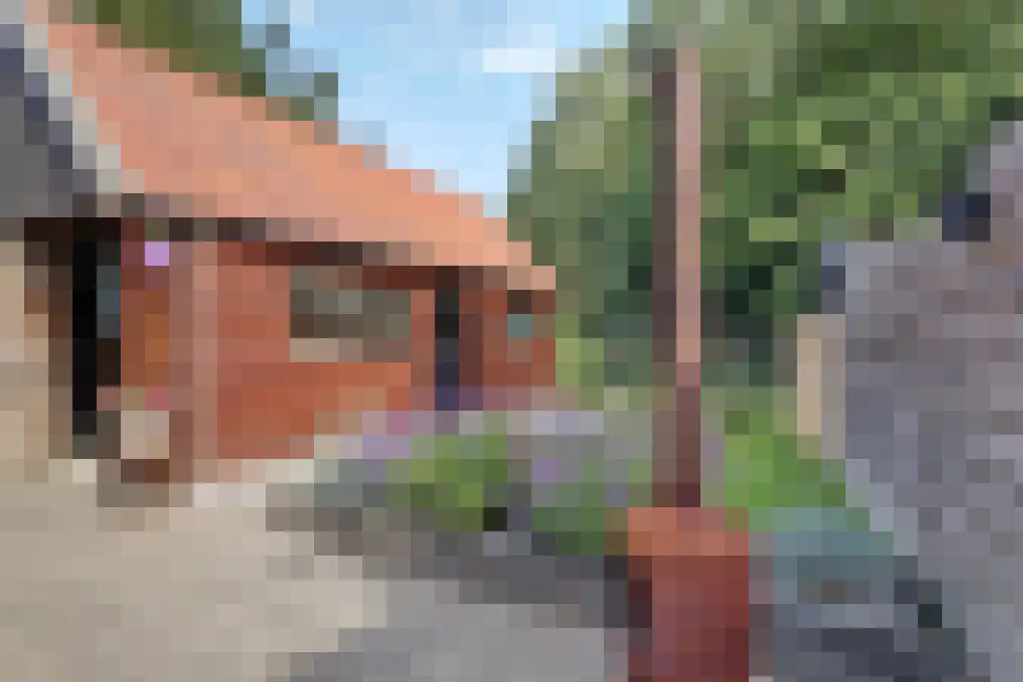 Monnikebildtdijk 45 Oudebildtzijl thumbnail 30