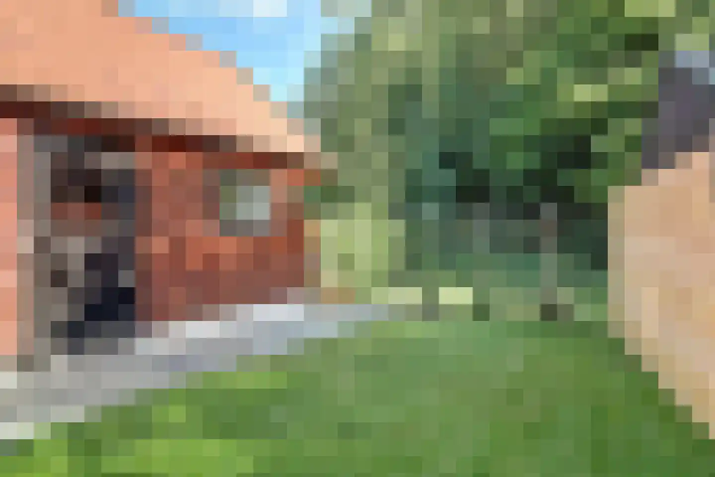 Monnikebildtdijk 45 Oudebildtzijl thumbnail 31