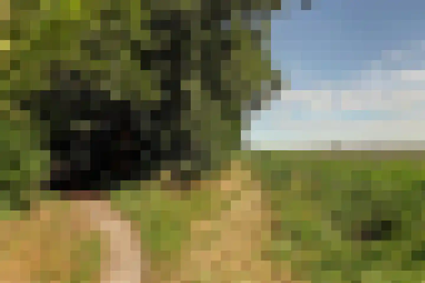 Monnikebildtdijk 45 Oudebildtzijl thumbnail 37