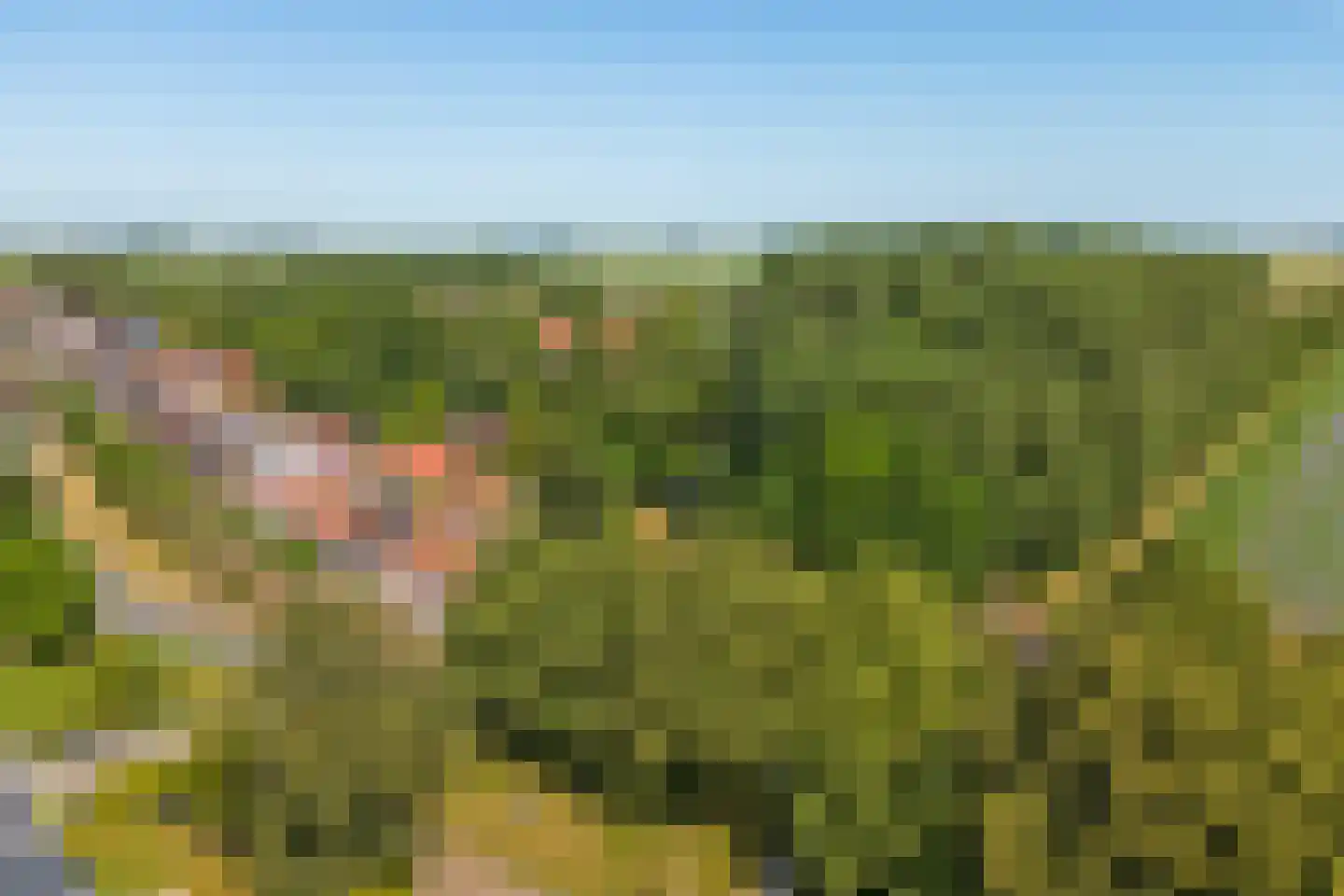 Monnikebildtdijk 45 Oudebildtzijl thumbnail 40