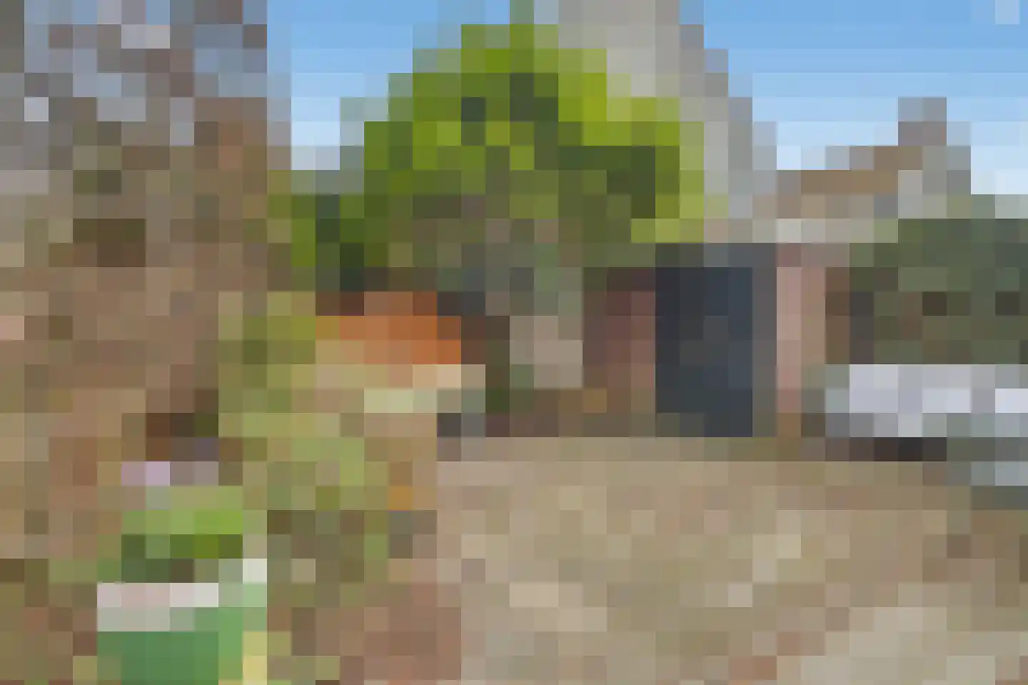 Monnikendammerweg 50 Amsterdam thumbnail 10