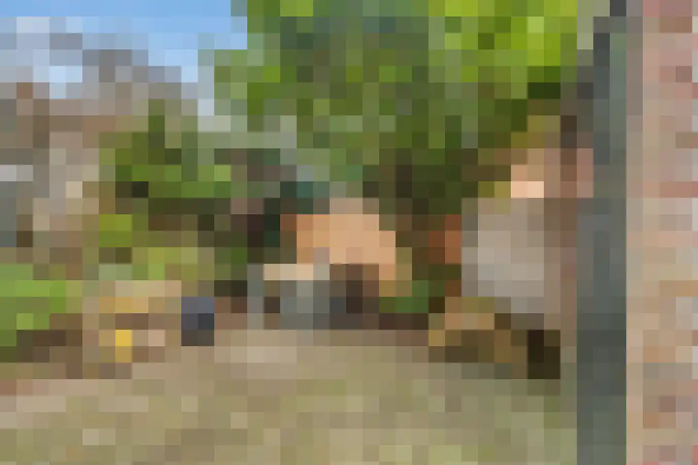 Monnikendammerweg 50 Amsterdam thumbnail 12