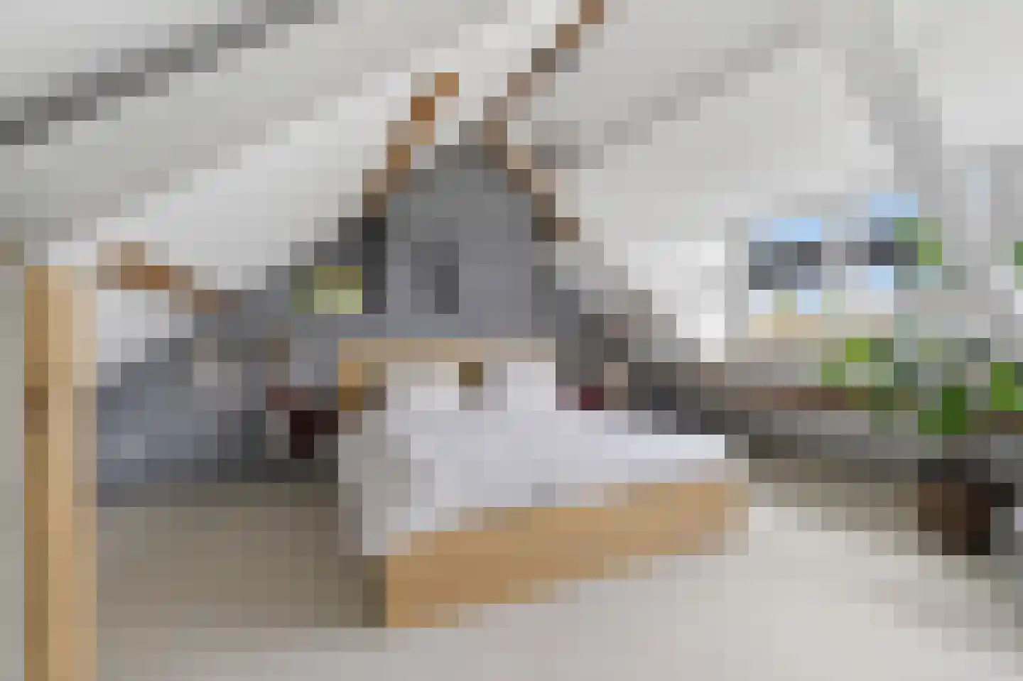 Monnikendammerweg 50 Amsterdam thumbnail 25