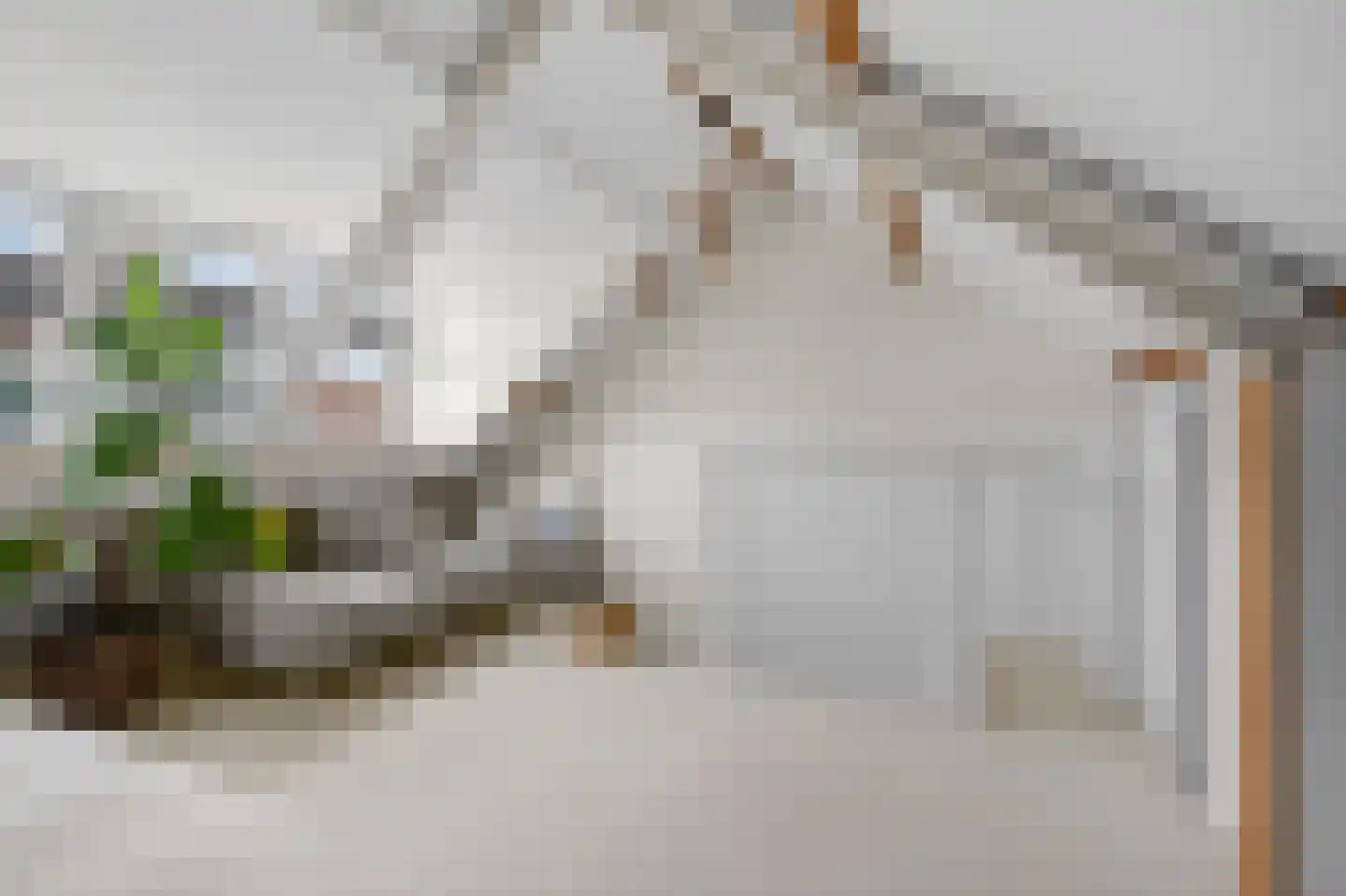 Monnikendammerweg 50 Amsterdam thumbnail 26