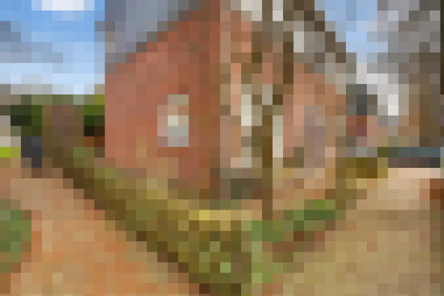 Monnikendammerweg 50 Amsterdam thumbnail 29