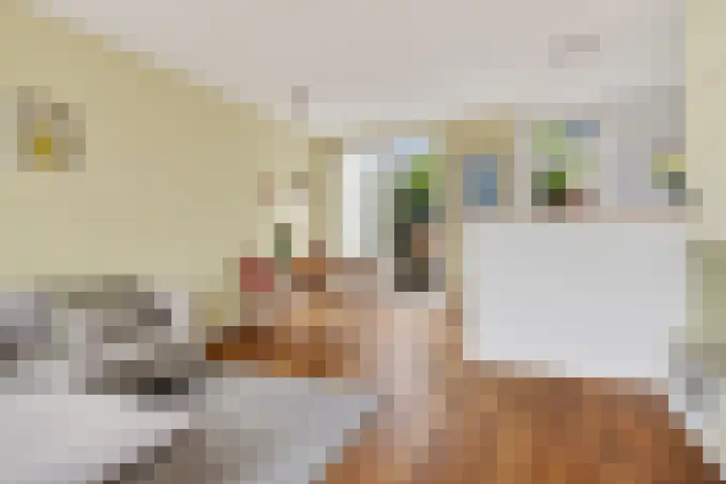 Monnikendammerweg 50 Amsterdam thumbnail 4