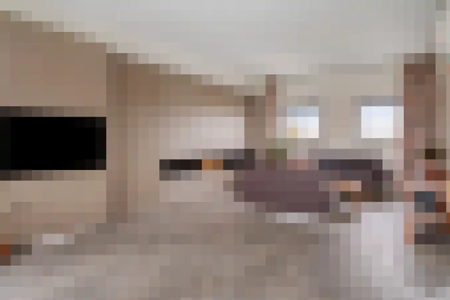 Monnikendijk 1 Kattendijke thumbnail 10