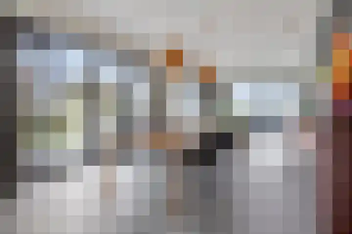 Monnikendijk 1 Kattendijke thumbnail 16