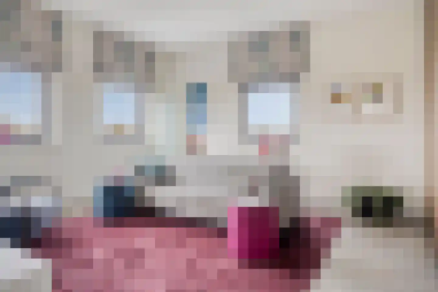 Monnikendijk 1 Kattendijke thumbnail 22